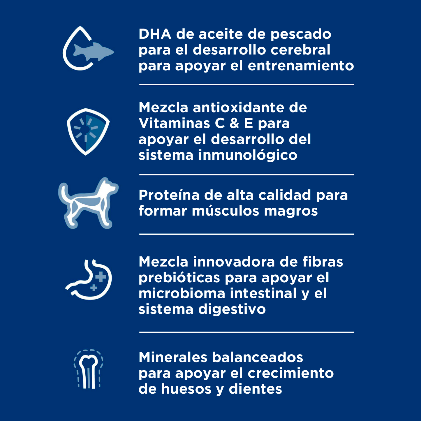 Hill's Science Diet Kitten alimento saludable para gatito receta de pescado marino, 1.5kg