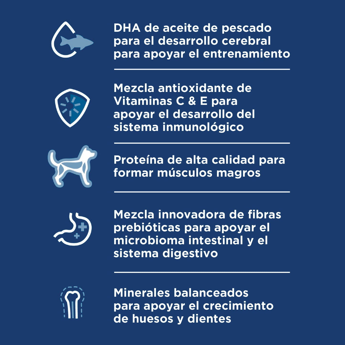 Hill's Science Diet Puppy Large Breed Alimento para perro cachorro razas grandes 12.5Kg