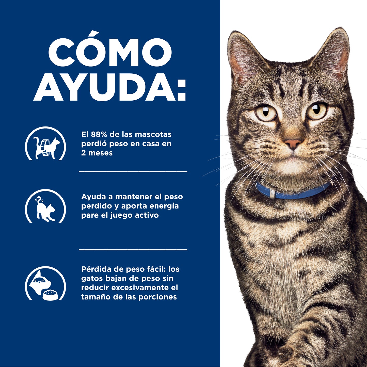Hill's Metabolic alimento para gato pérdida y mantenimiento de peso 1.8 Kg