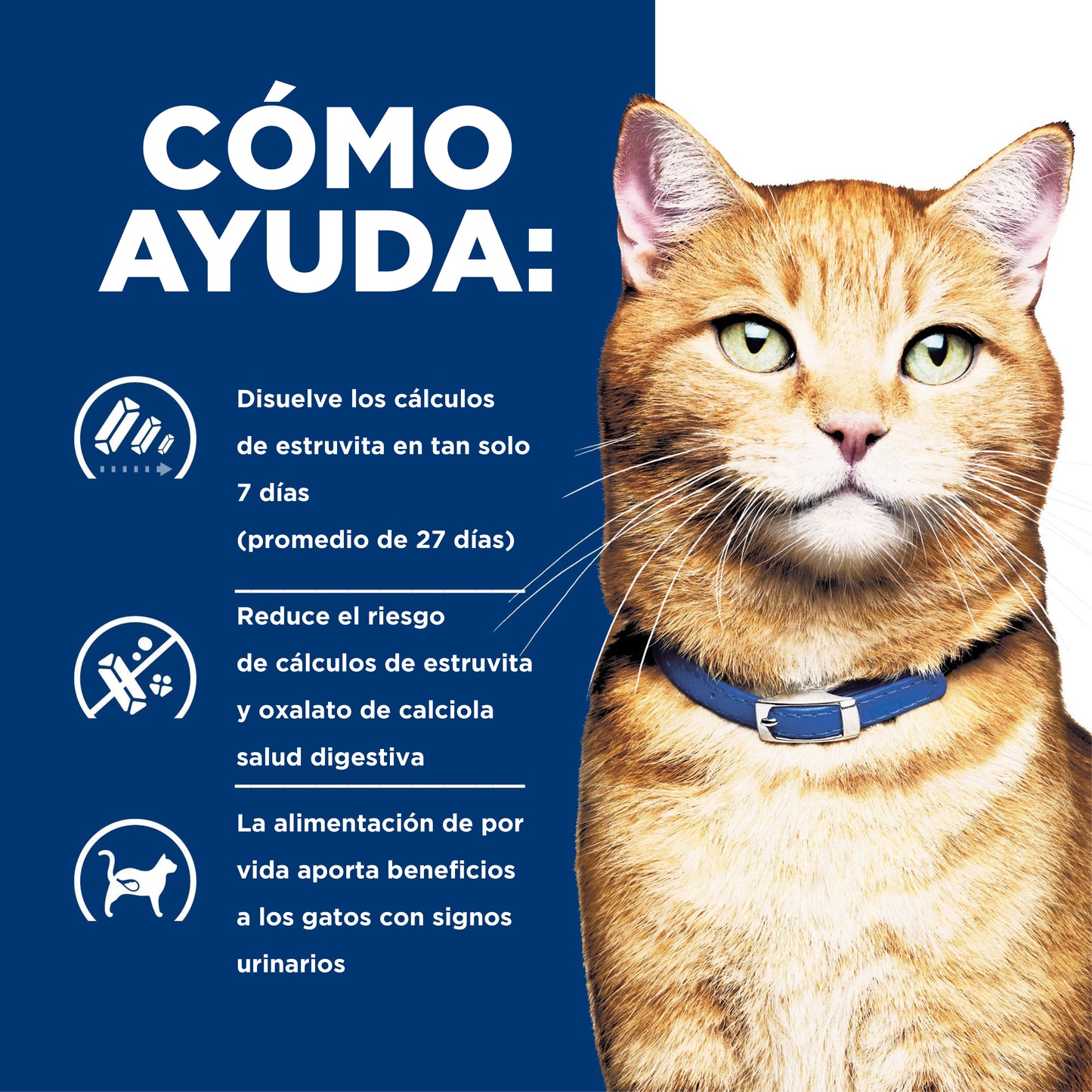 Hill's Prescription Diet c/d alimento para gato cuidado urinario 1.8 Kg