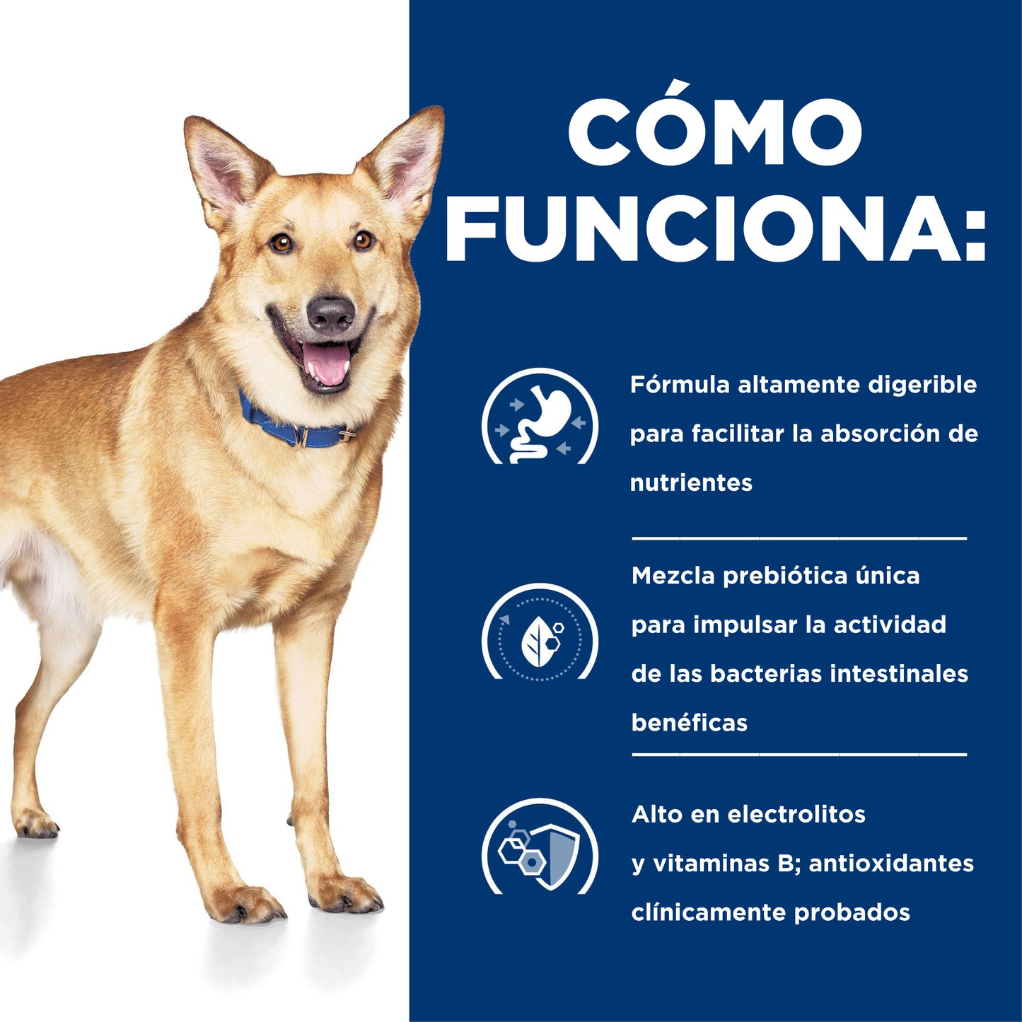 Hill's i/d Alimento húmedo para perro Cuidado Digestivo 13 OZ
