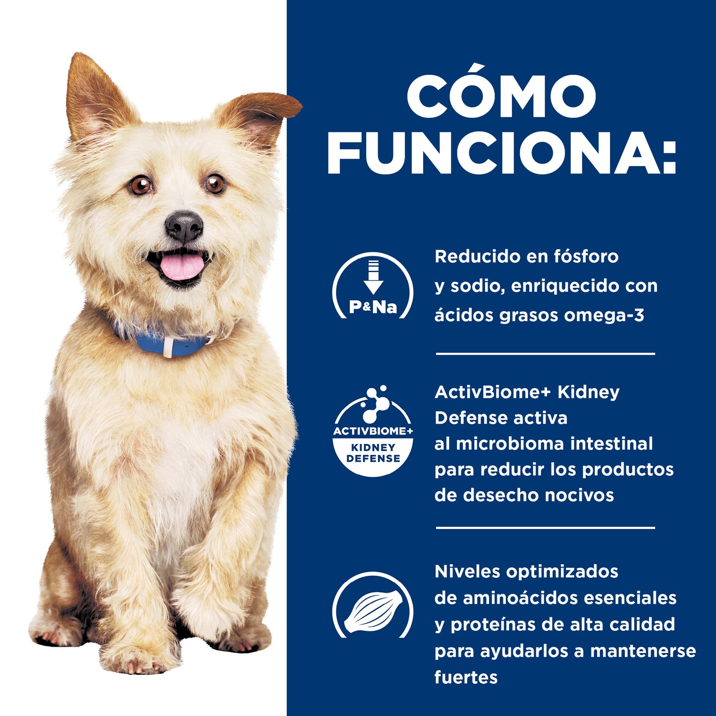 Hill's Prescription Diet k/d Alimento húmedo para perro cuidado renal 13 OZ