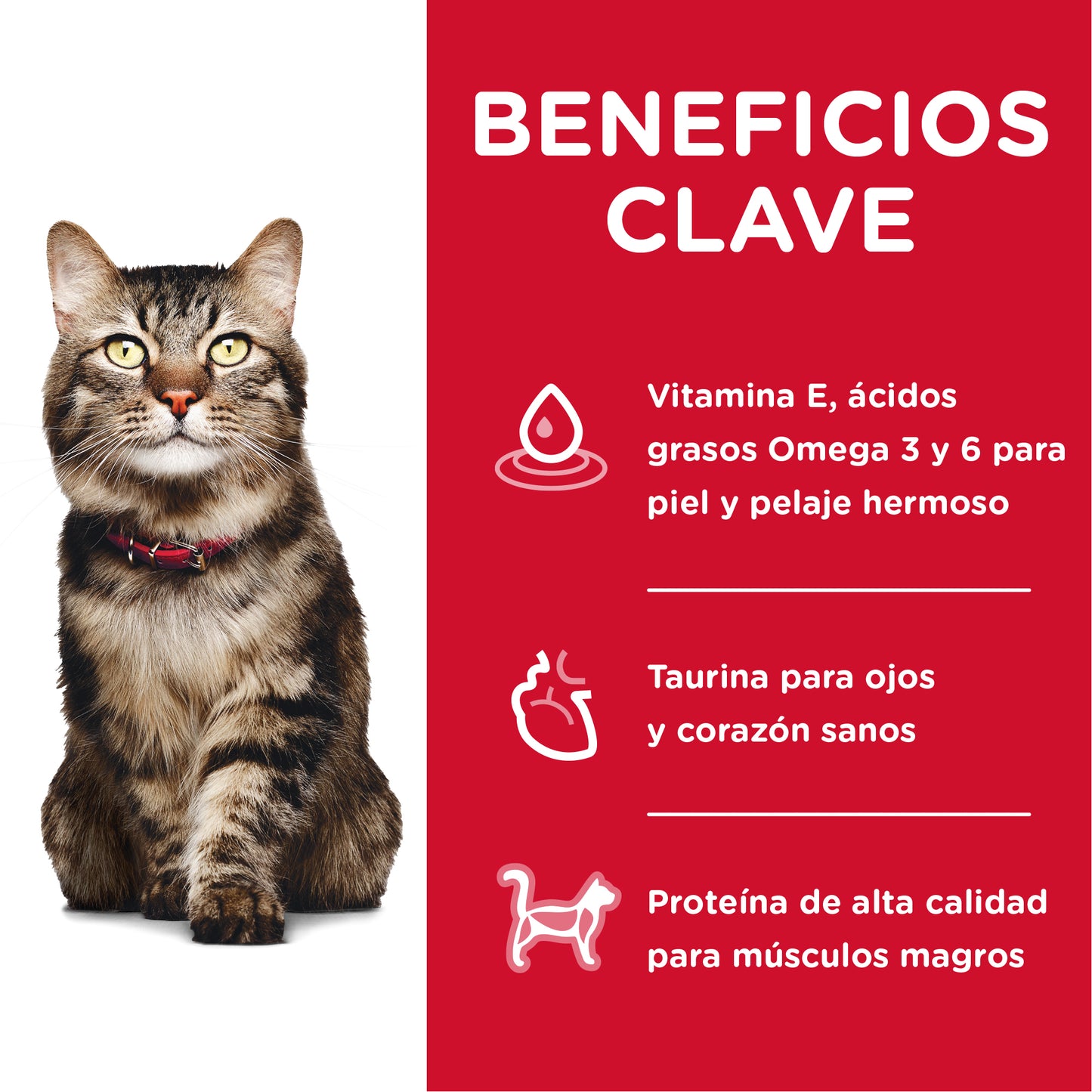 Hill's Science Diet Adult 7+ Hairball Control de bolas de pelo 1.6 Kg