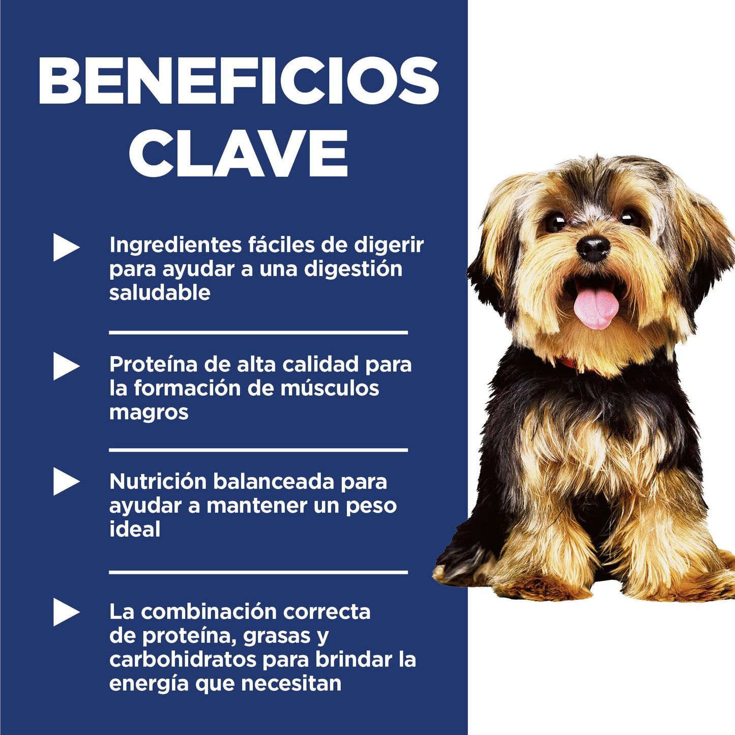 Hill's Science Diet Adult Small Paws 2 Kg