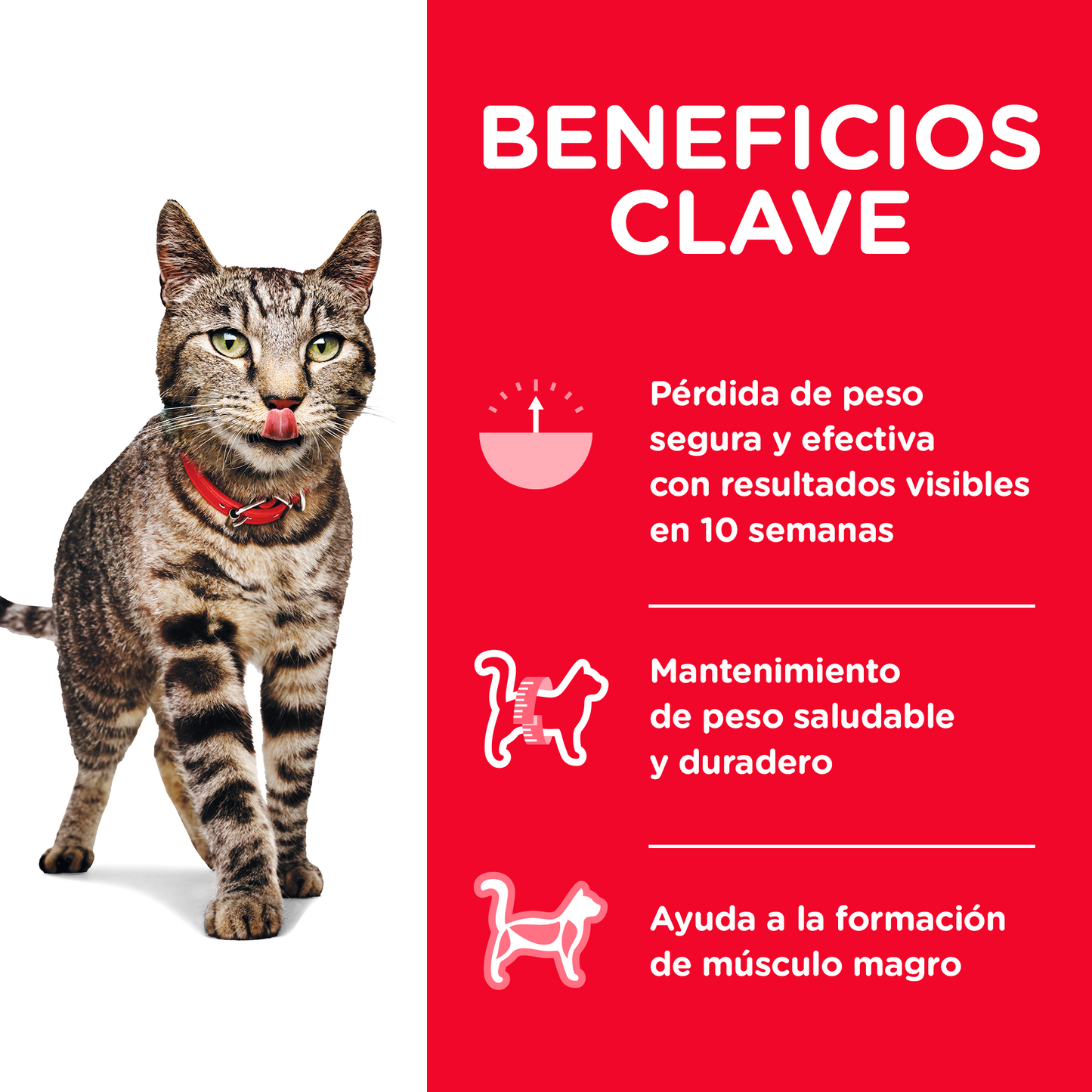 Hill's Science Diet alimento de control de peso para gato adulto