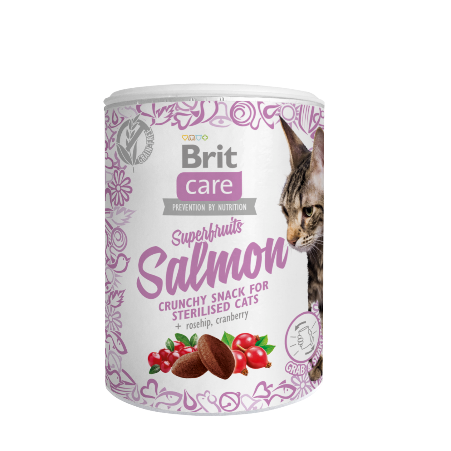 BRIT CARE CAT SNACK SUPERFRUITS SALMON - 100 G