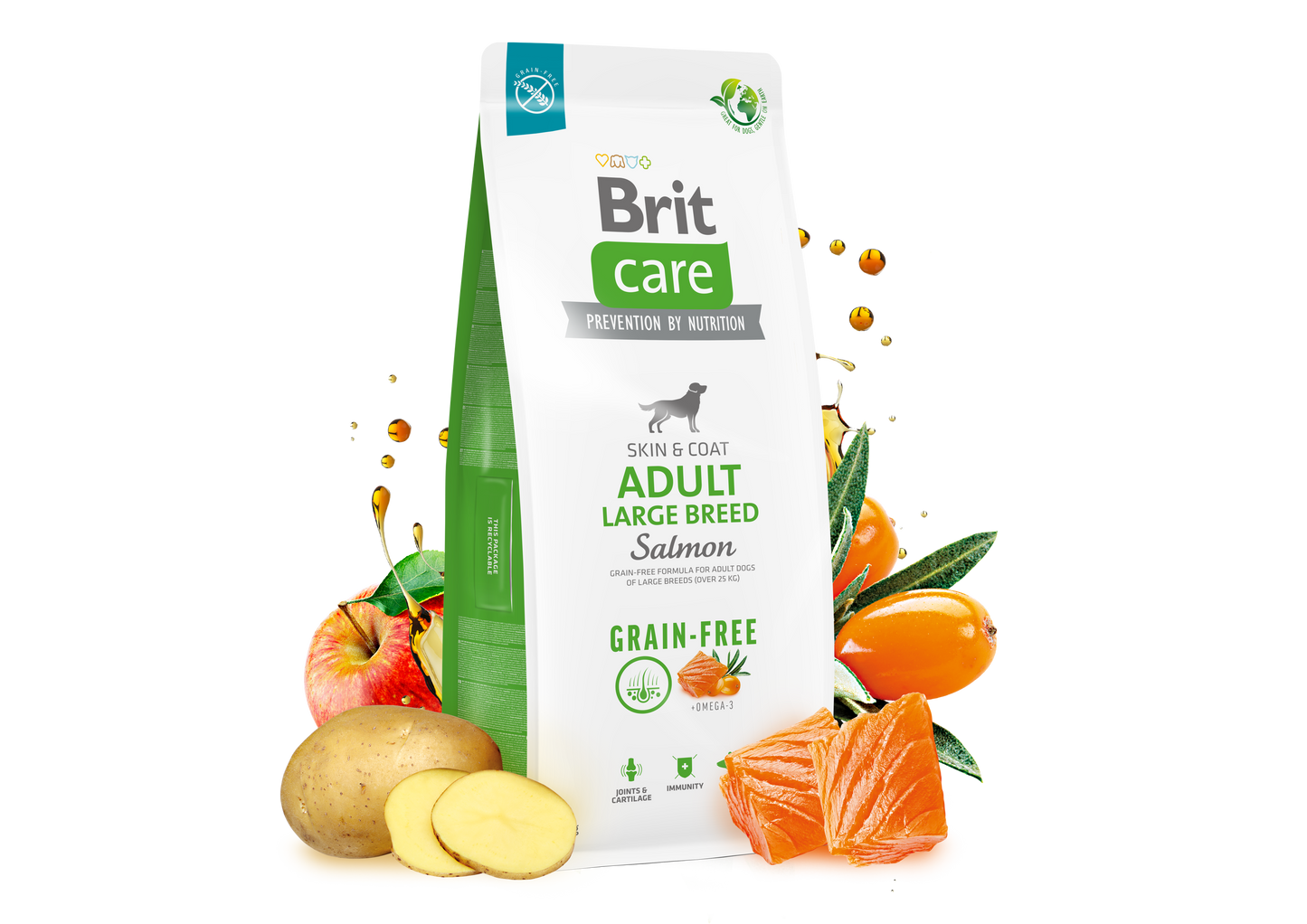 BRIT CARE ADULT LARGE BREED SALMON & POTATO