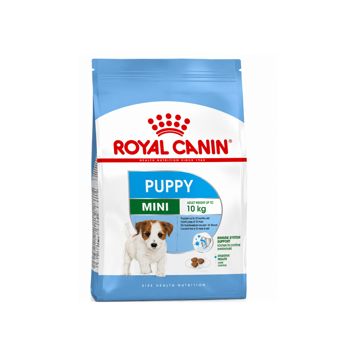 S.H.N Mini Puppy