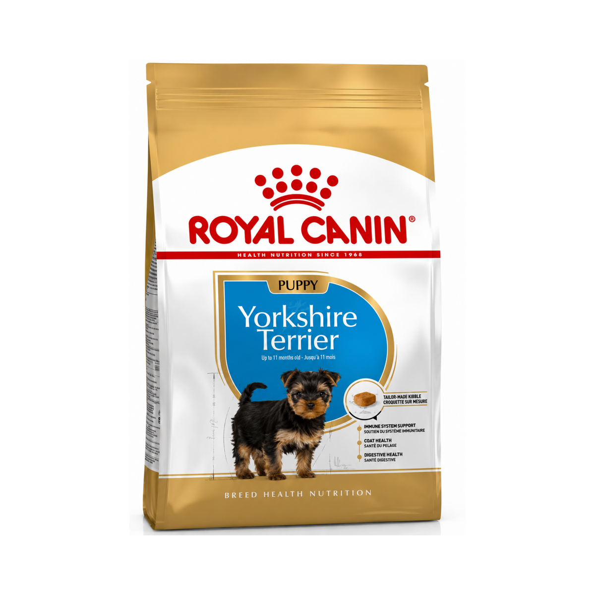 B.H.N Yorkshire Puppy 1.5 Kg