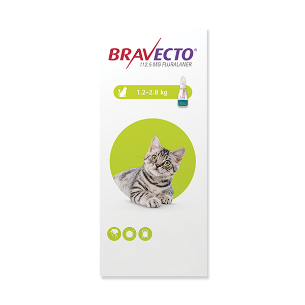 Antipulgas para gato