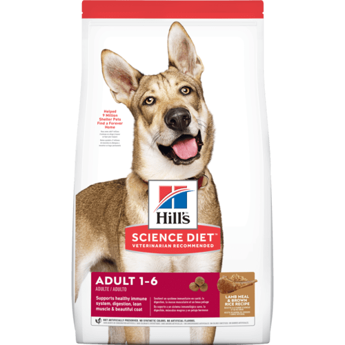 Alimento seco para perros