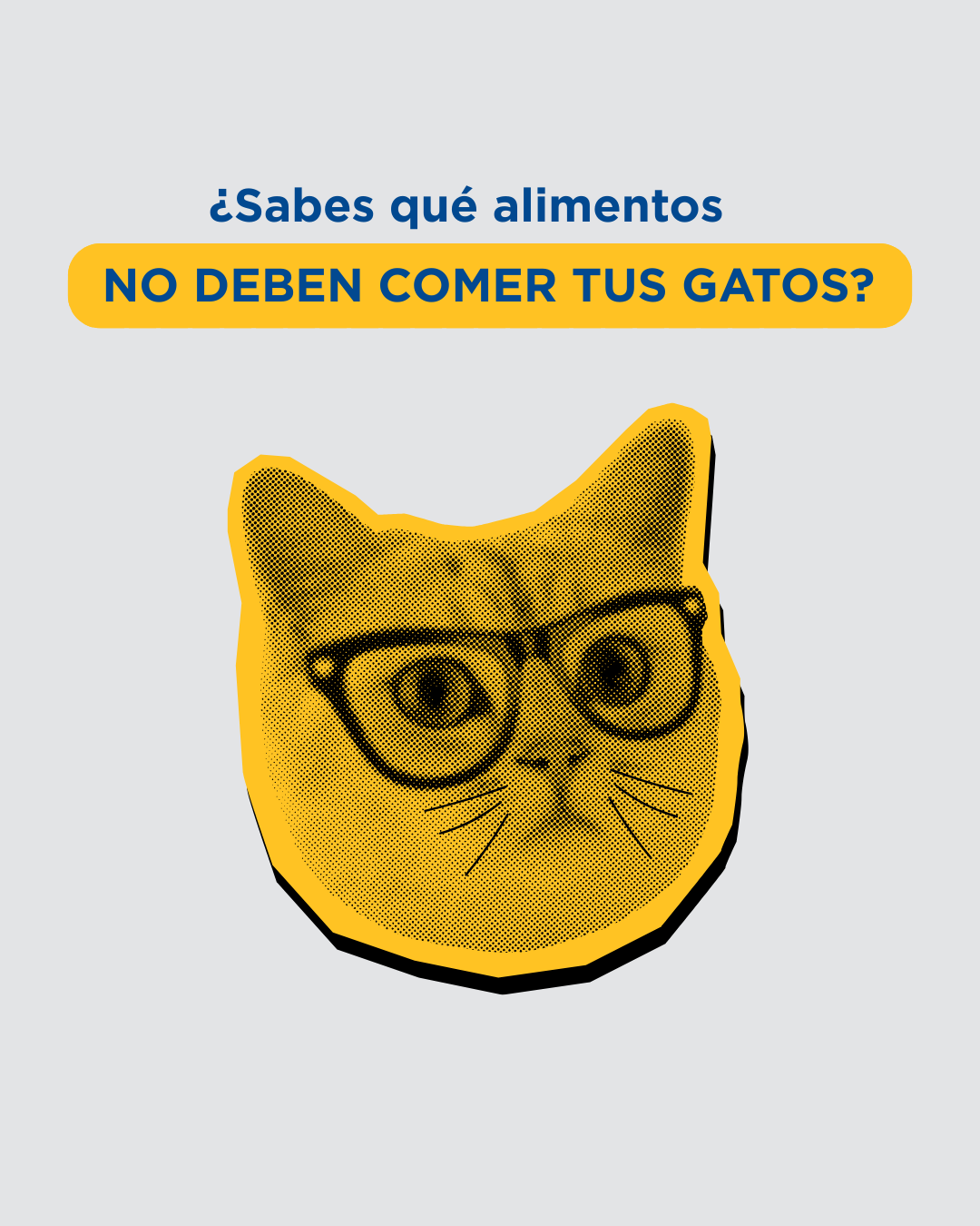 Alimentos tóxicos para gatos: lista clínica con nivel de toxicidad