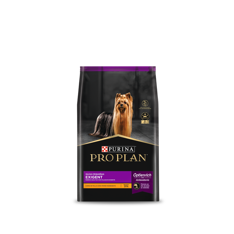 Alimento seco para perros
