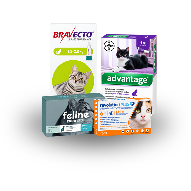 Antipulgas para gato