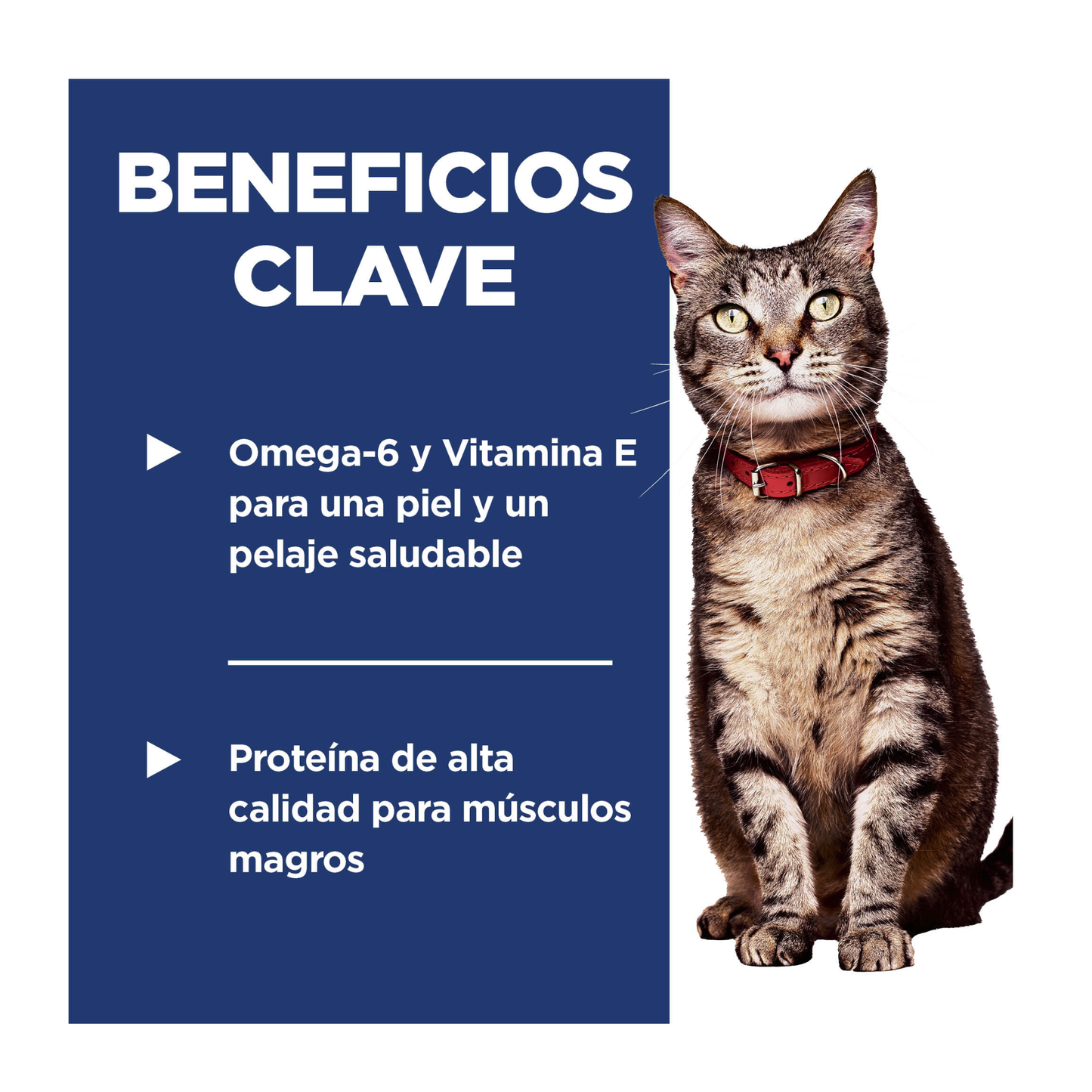 Hill's Science Diet alimento para gatos adultos, salmón y arroz