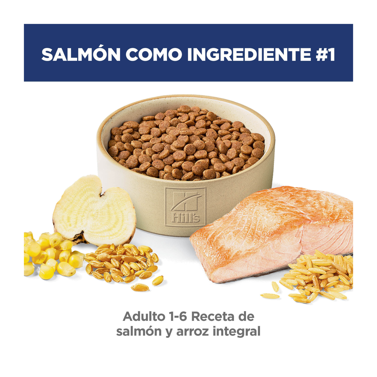 Hill's Science Diet alimento para gatos adultos, salmón y arroz