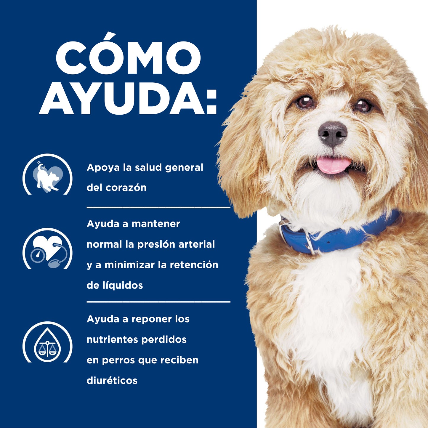 Hill's Prescription Diet h/d alimento para perro cuidado cardiaco