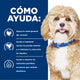 Hill's Prescription Diet h/d alimento para perro cuidado cardiaco