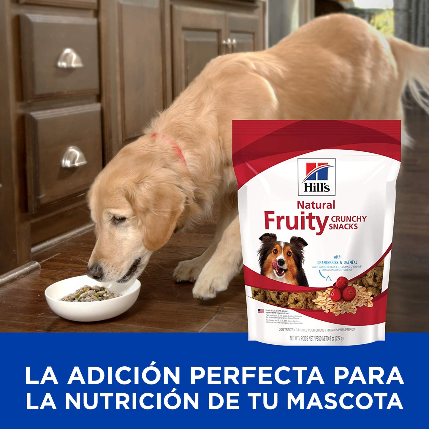 Hill's Crunchy Snacks premios para perro con arándanos y avena 227g