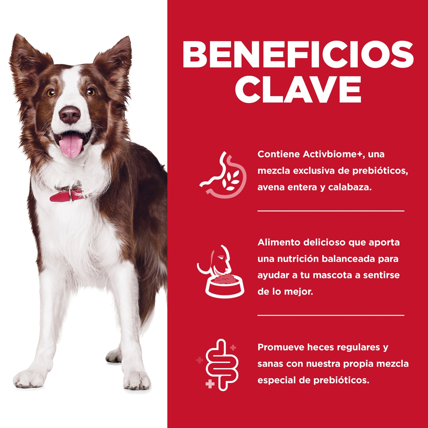 Hill's Science Diet alimento de cuidado digestivo para perro adulto