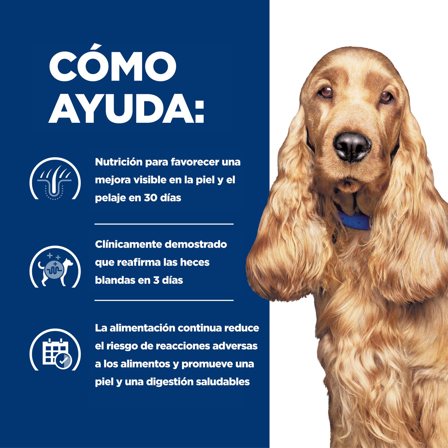 Hill's z/d alimento para perro sensibilidades alimentarias