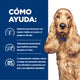 Hill's z/d alimento para perro sensibilidades alimentarias