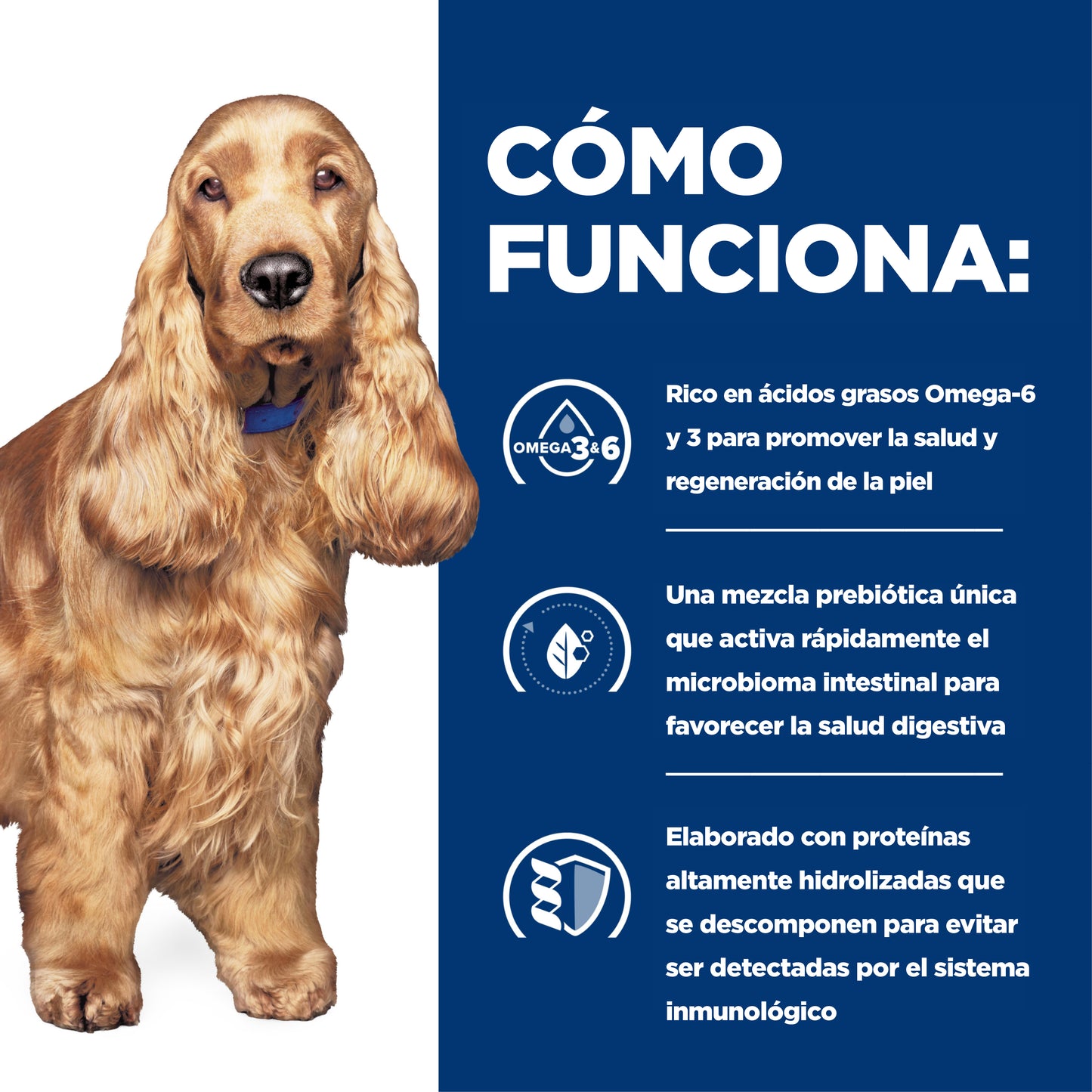 Hill's z/d alimento para perro sensibilidades alimentarias