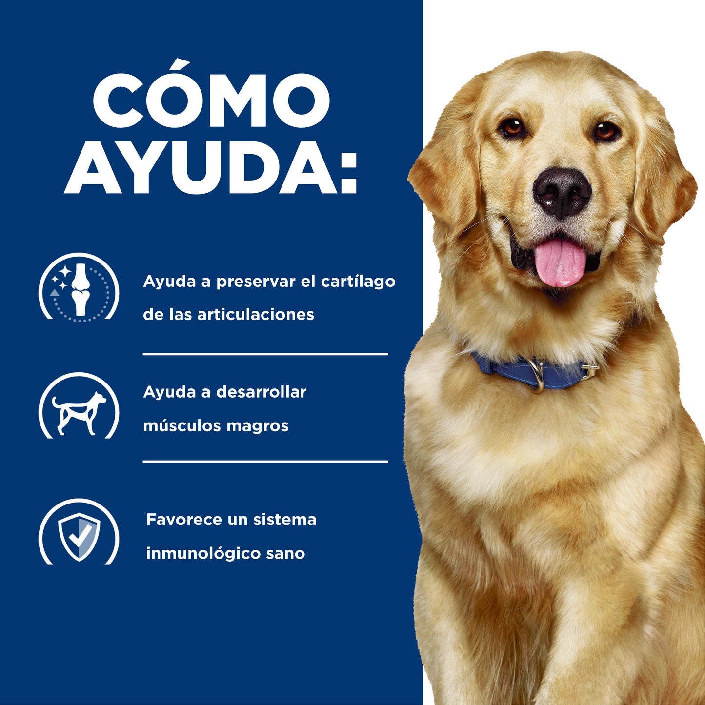 Hill's Prescription Diet j/d alimento para perro cuidado articular