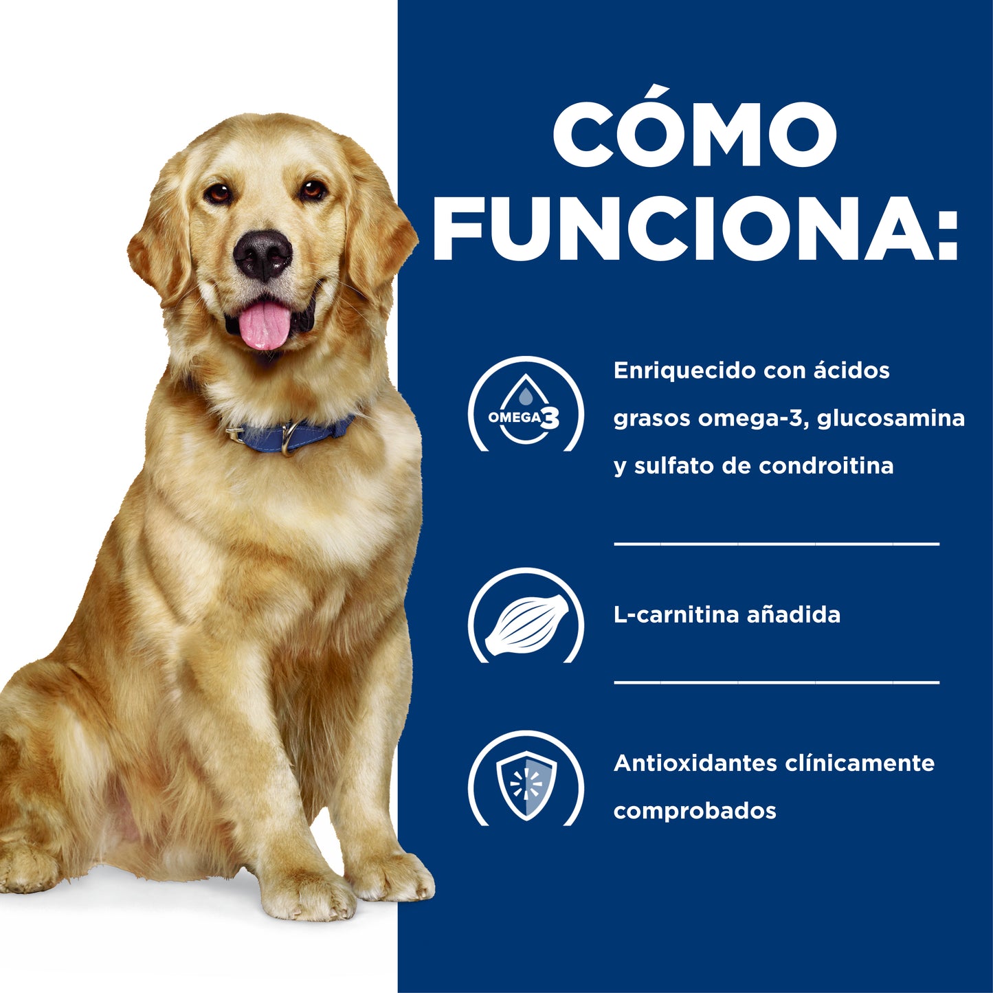 Hill's Prescription Diet j/d alimento para perro cuidado articular