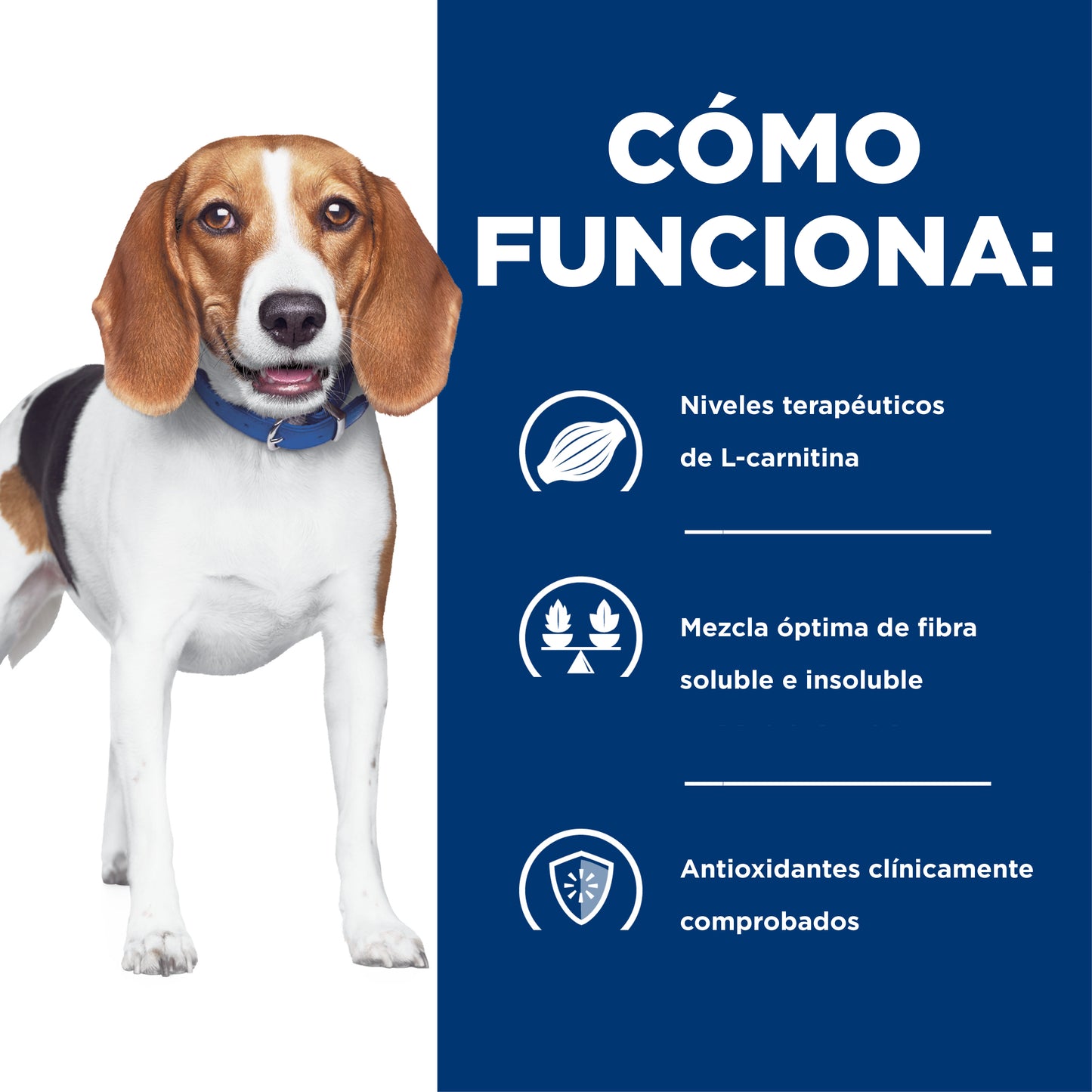 Hill's Prescription Diet r/d alimento para perro control de peso 3.9 Kg