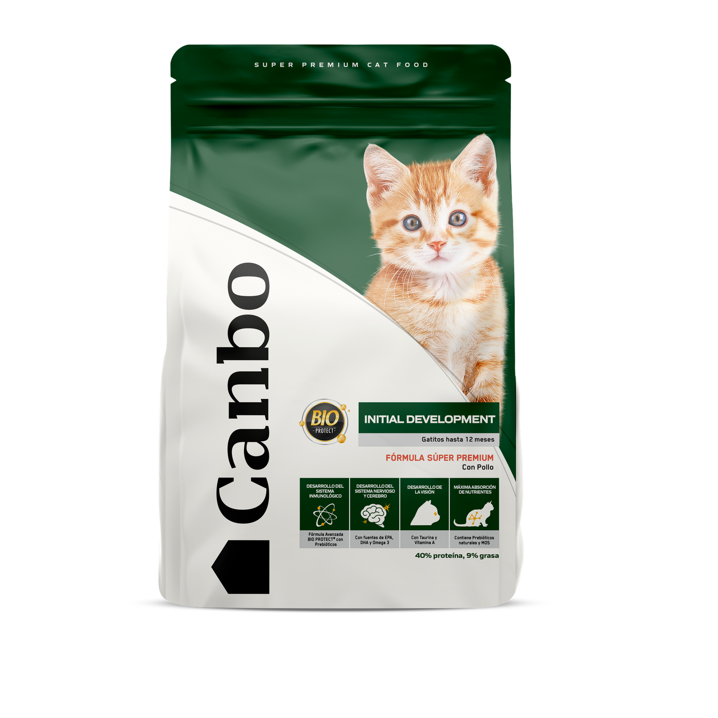 Canbo Cat Kitten Initial Development