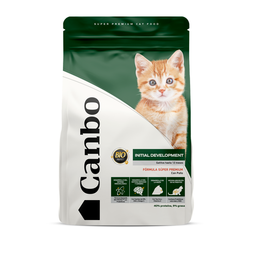 Canbo Cat Kitten Initial Development