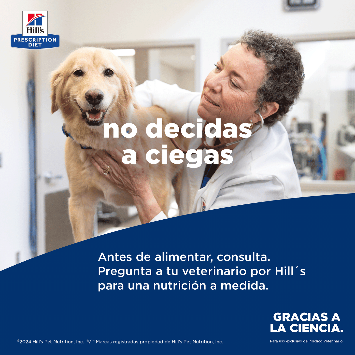 Hill's j/d alimento para perro movilidad articular