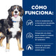 Hill's j/d alimento para perro movilidad articular