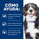 Hill's j/d alimento para perro movilidad articular