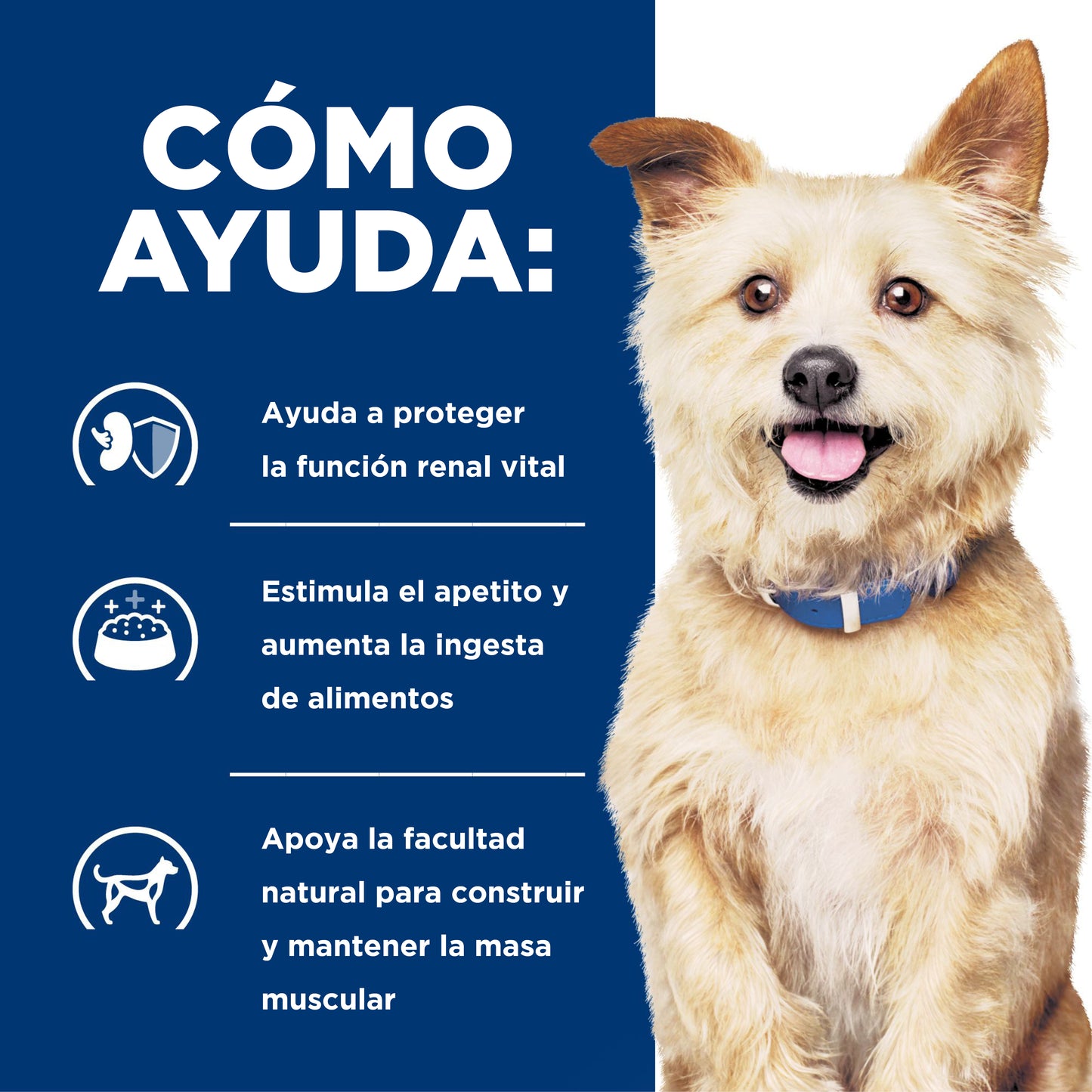 Hill's Prescription Diet k/d alimento para perro cuidado renal