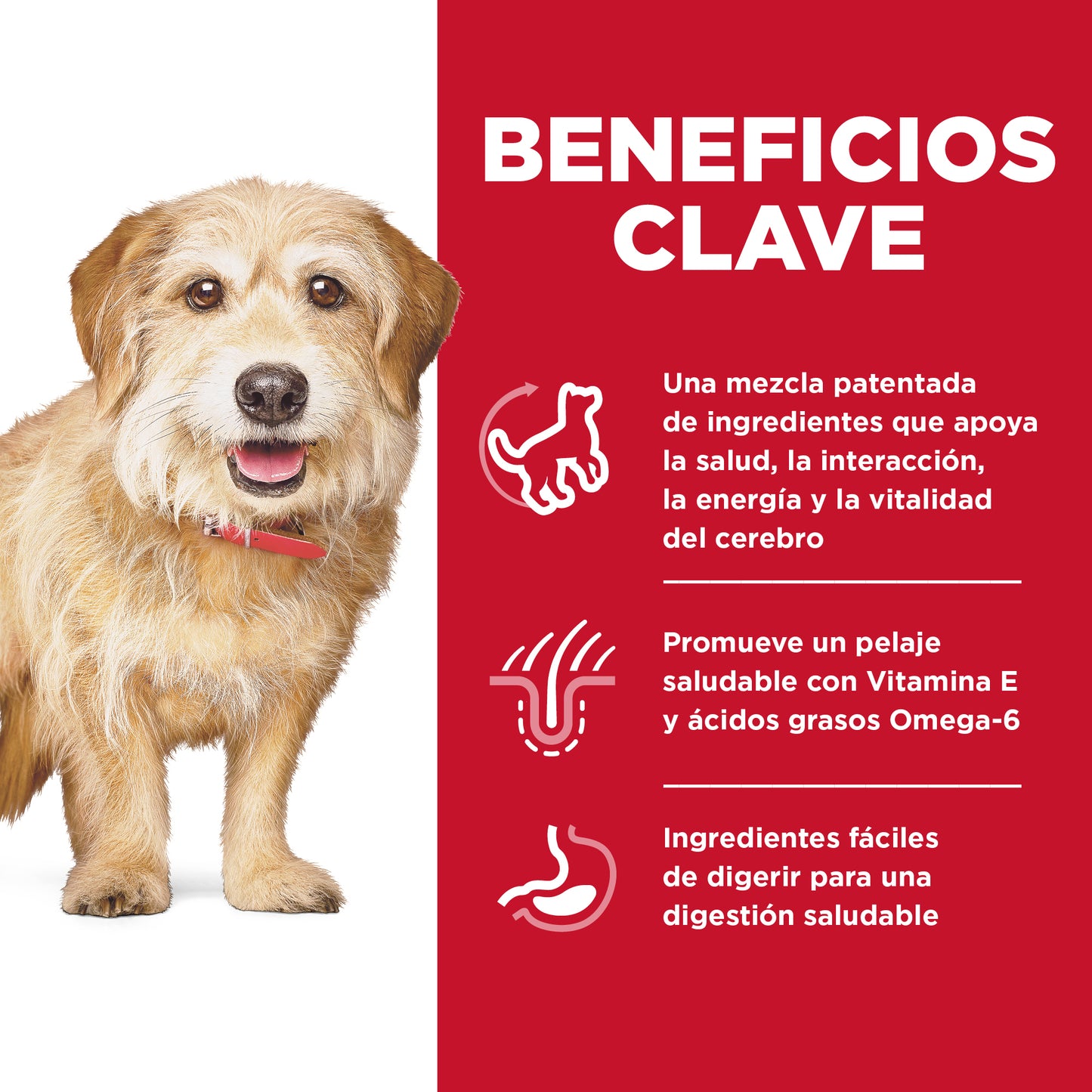 Hill's Senior Vitality alimento para perro senior raza pequeña y mini 1.6Kg
