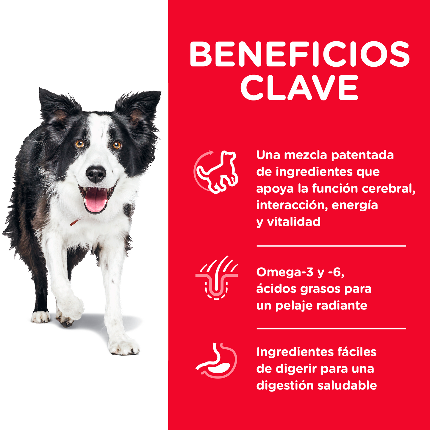 Hill's Science Diet Senior Vitality alimento perro senior sabor pollo