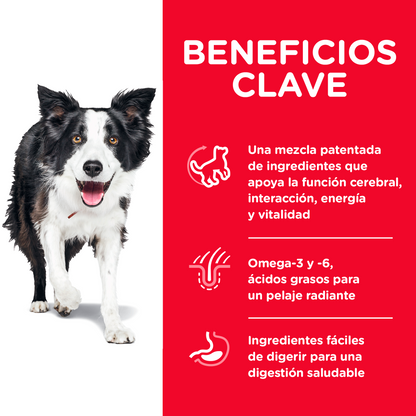Hill's Science Diet Senior Vitality alimento perro senior sabor pollo