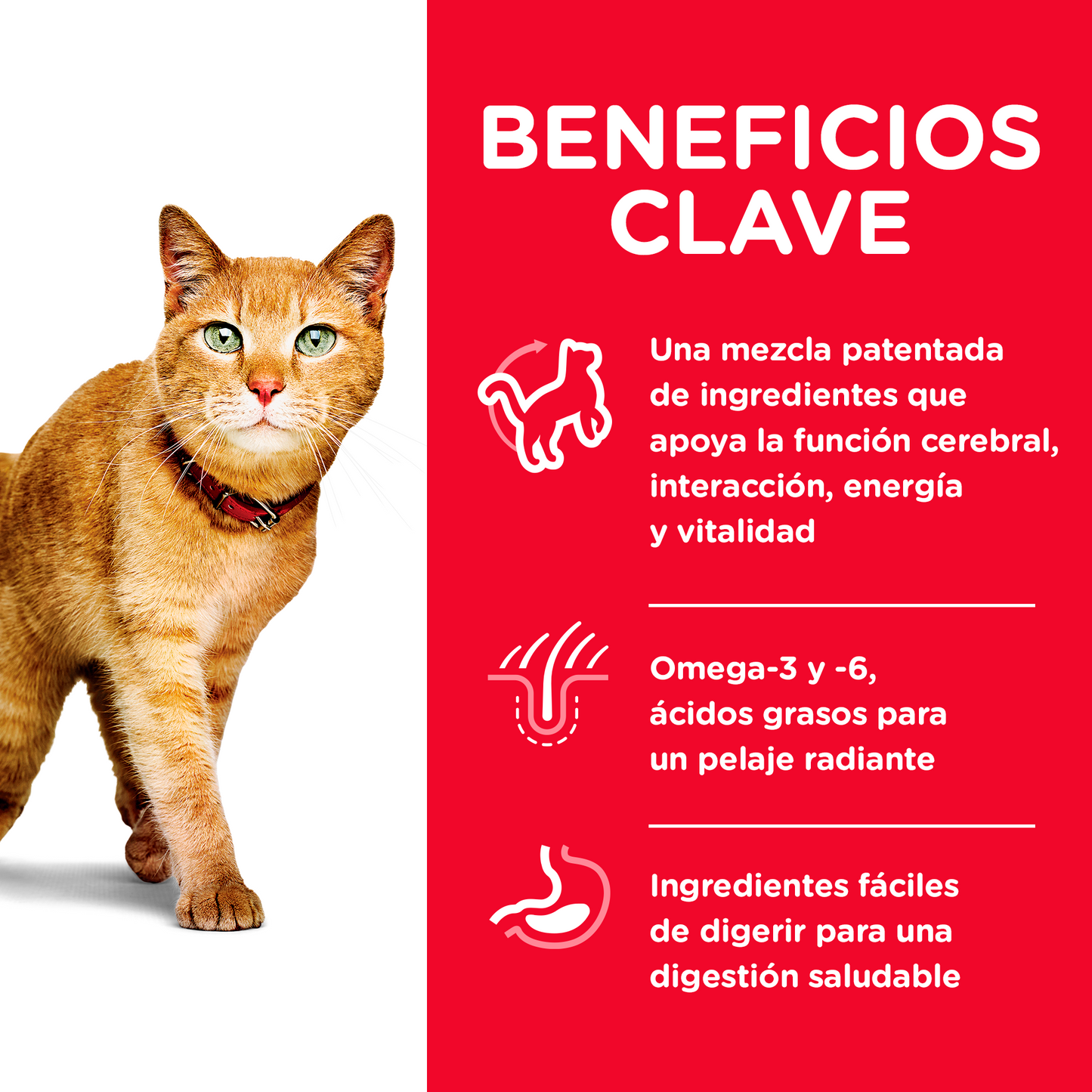 Hill's Science Diet Senior Vitality alimento para gato senior