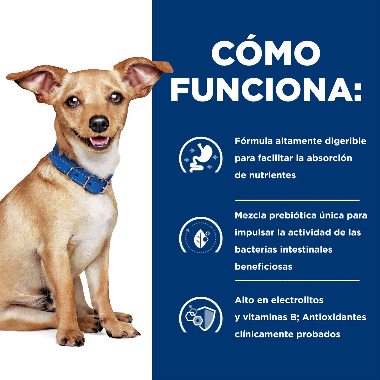 Hill's i/d alimento bajo en grasas para perro Cuidado Digestivo
