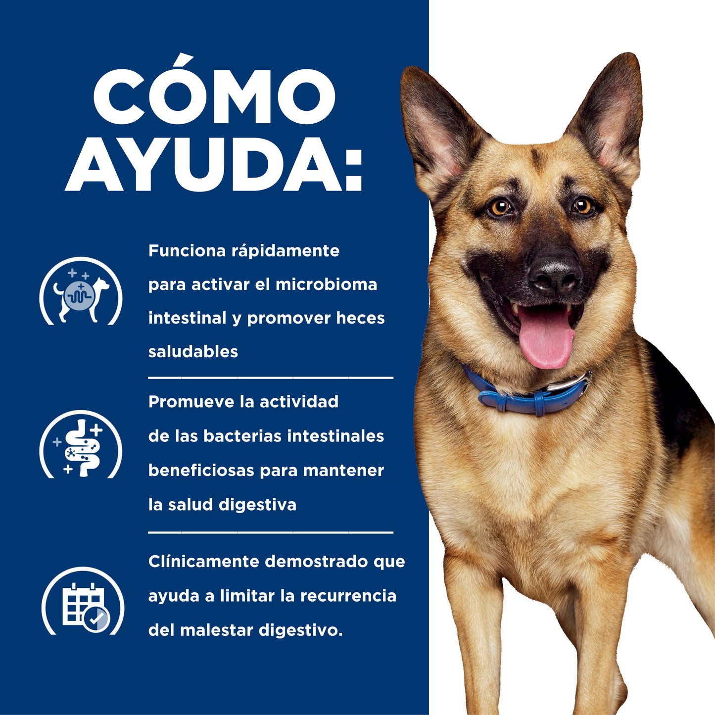 Hill's Gastrointestinal Biome alimento para perro Cuidado Digestivo