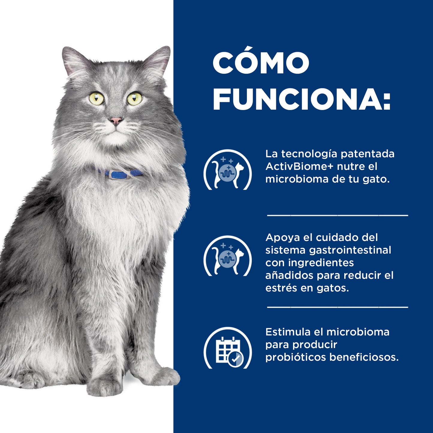 Hill's Gastrointestinal Biome alimento para gato Cuidado Digestivo