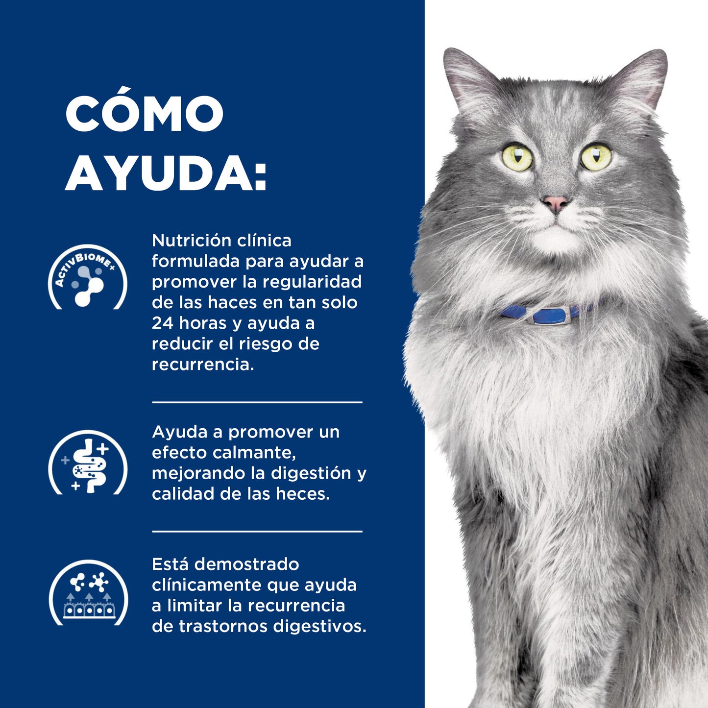 Hill's Gastrointestinal Biome alimento para gato Cuidado Digestivo