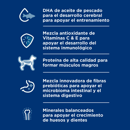 Hill's Science Diet Kitten alimento saludable para gatito receta de pescado marino, 1.5kg