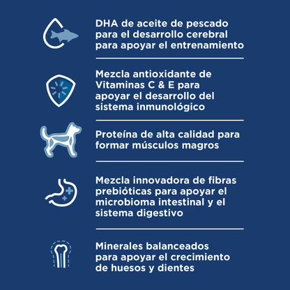 Hill's Science Diet Puppy Large Breed Alimento para perro cachorro razas grandes 12.5Kg