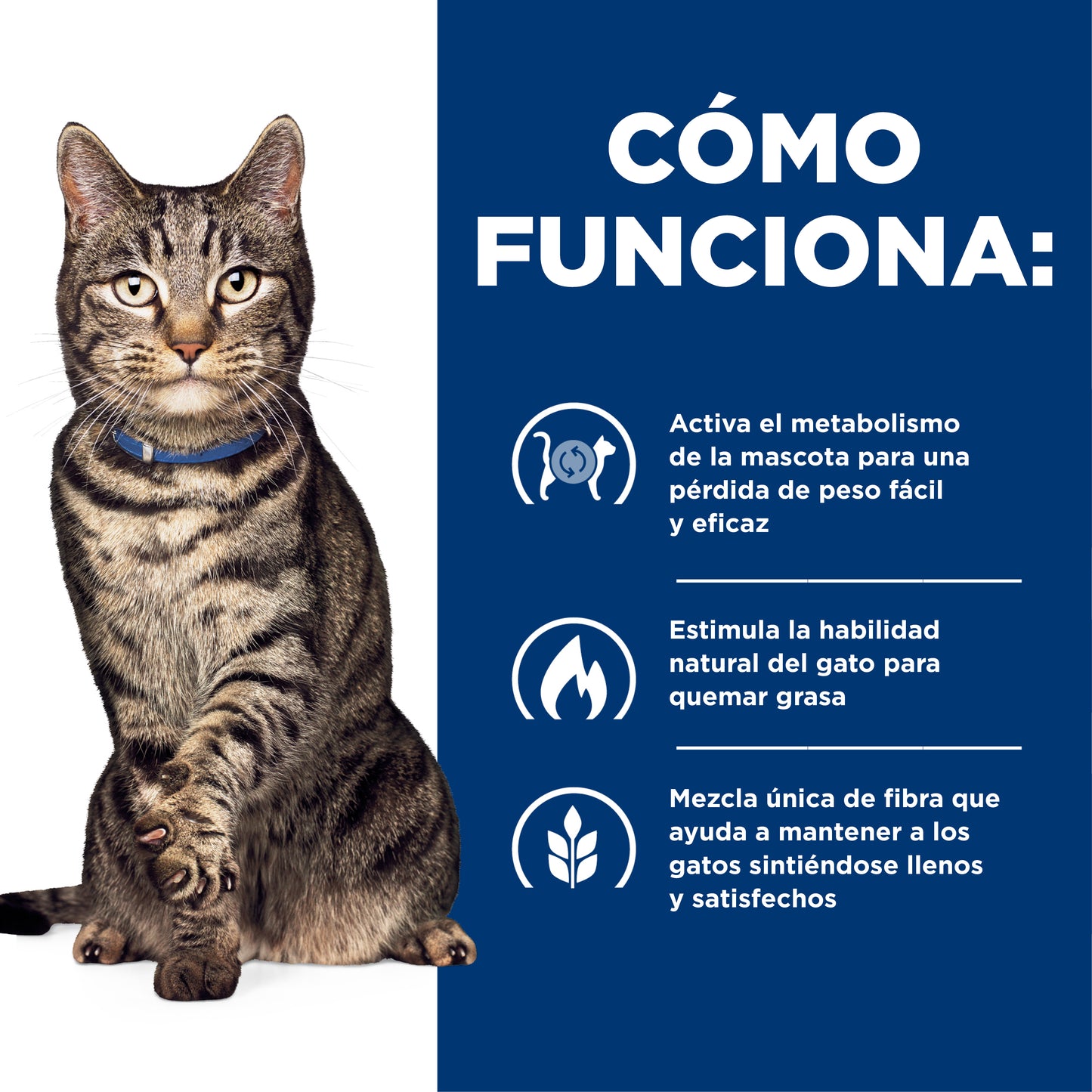 Hill's Metabolic alimento para gato pérdida y mantenimiento de peso 1.8 Kg