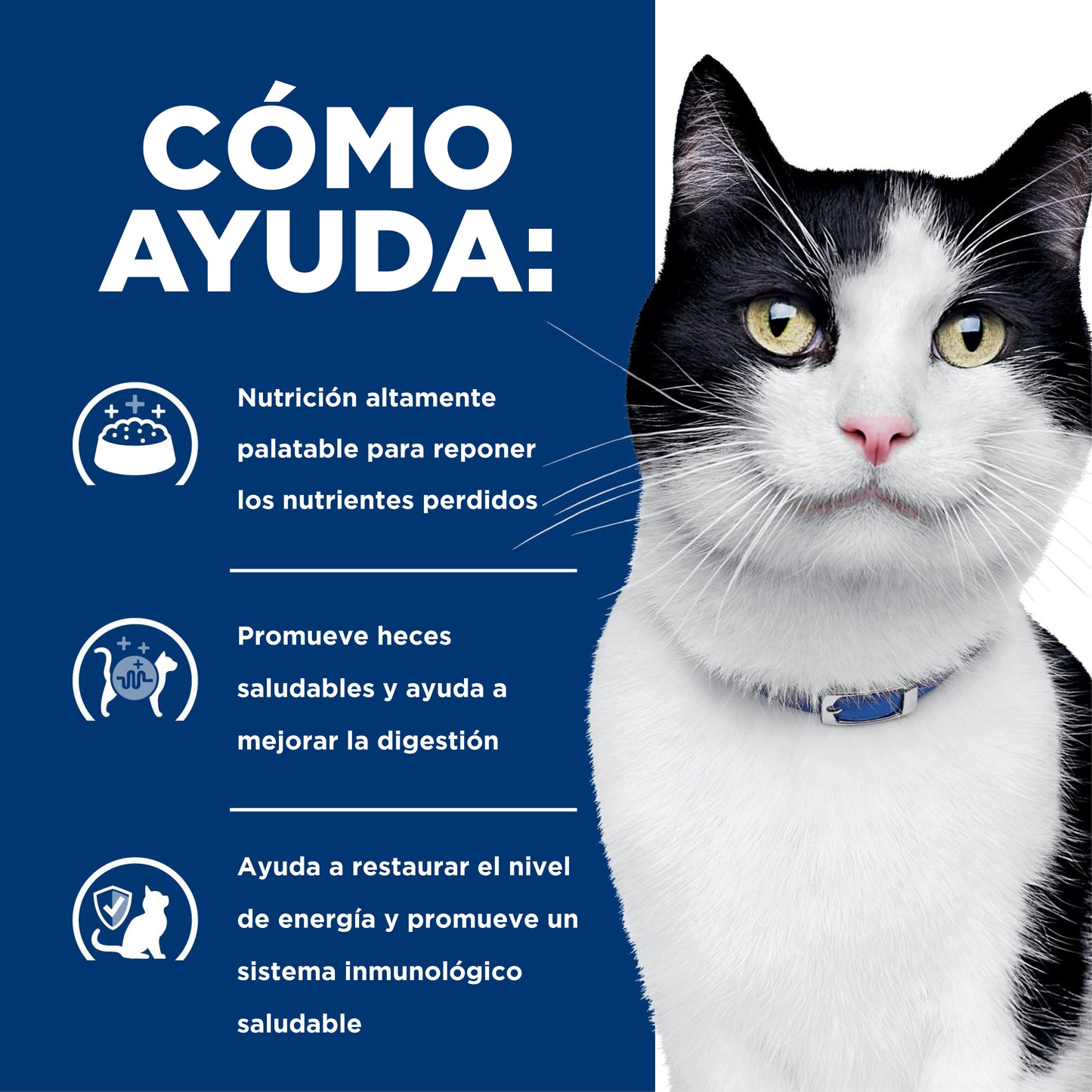 Hill's i/d Alimento húmedo para gato Cuidado Digestivo 5.5 oz
