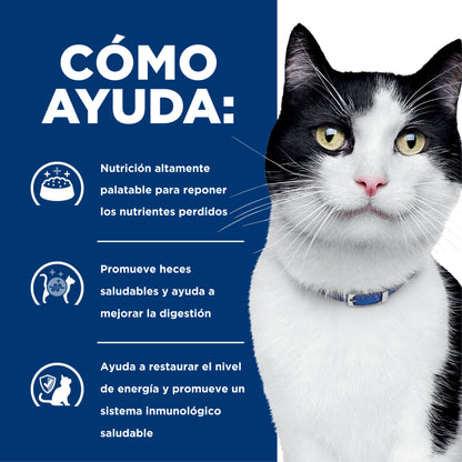 Hill's i/d Alimento húmedo para gato Cuidado Digestivo 5.5 oz
