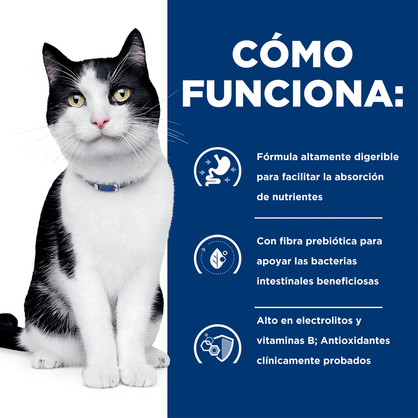 Hill's i/d Alimento húmedo para gato Cuidado Digestivo 5.5 oz